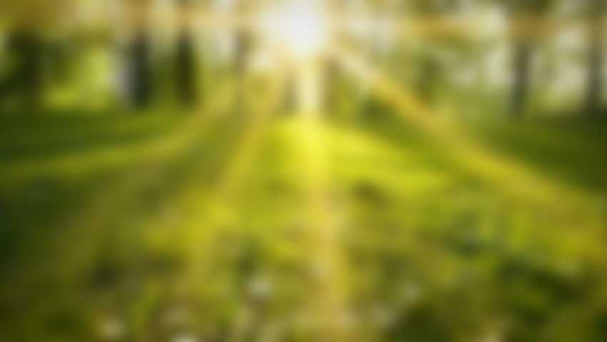 Tratamiento de la ansiedad